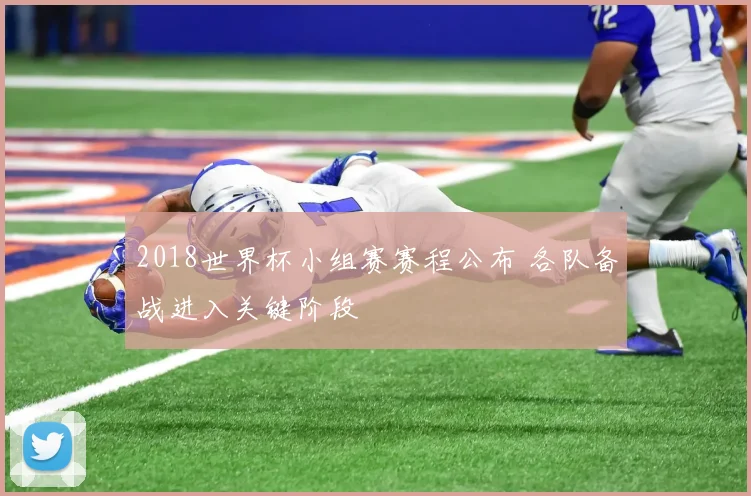 2018世界杯小组赛赛程公布 各队备战进入关键阶段